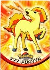 Ponyta