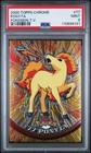 Ponyta