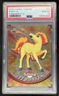 Ponyta