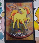 Ponyta