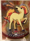 Ponyta