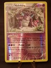 Nidoking