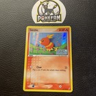Torchic