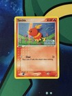 Torchic