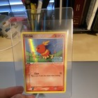 Torchic