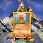 Torchic