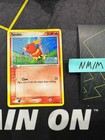 Torchic