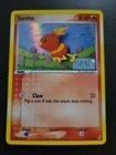 Torchic