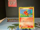 Torchic
