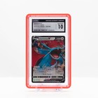 Salamence V
