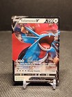 Salamence V