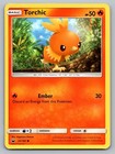 Torchic