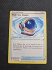 Full Face Guard