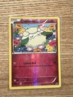 Cottonee