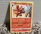 Torracat