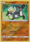 Passimian