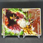 Ho-Oh