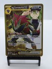N's Zoroark Ex