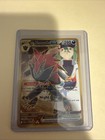 N's Zoroark Ex