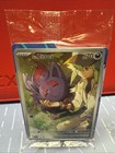 N's Zoroark Ex
