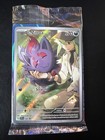 N's Zoroark Ex