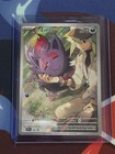N's Zoroark Ex