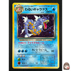 Dark Golbat