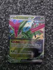 Iron Leaves Ex