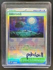 Moonlit Hill