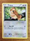 Pidgey