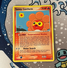 Sunny Castform