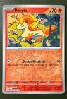 Ponyta