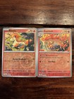 Ponyta