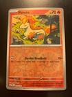 Ponyta