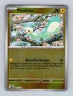 Pachirisu