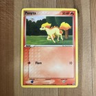 Ponyta