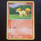 Ponyta