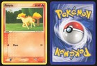 Ponyta