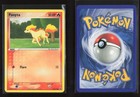 Ponyta