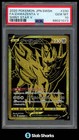 Zamazenta V