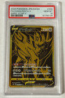 Zamazenta V
