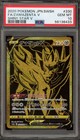 Zamazenta V