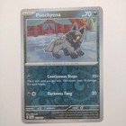 Poochyena