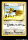 Doduo