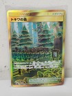 Viridian Forest