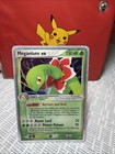 Meganium EX