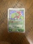 Meganium EX