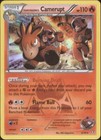 Team Magma's Camerupt