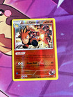 Team Magma's Camerupt