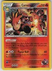 Team Magma's Camerupt